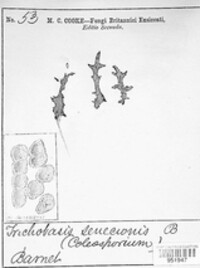 Image Associated With the Occurence